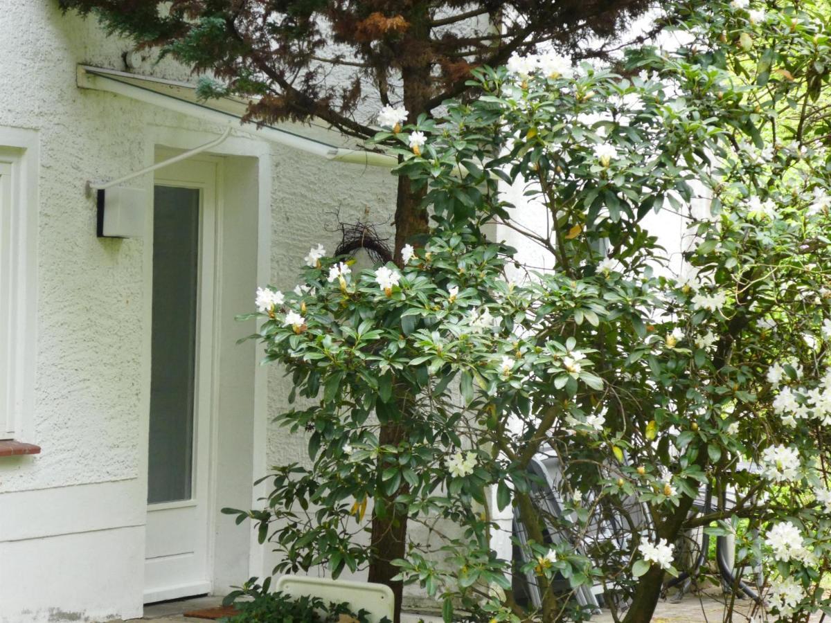 Ferienwohnung Niemann In Lutterloh Unterluss Exterior photo
