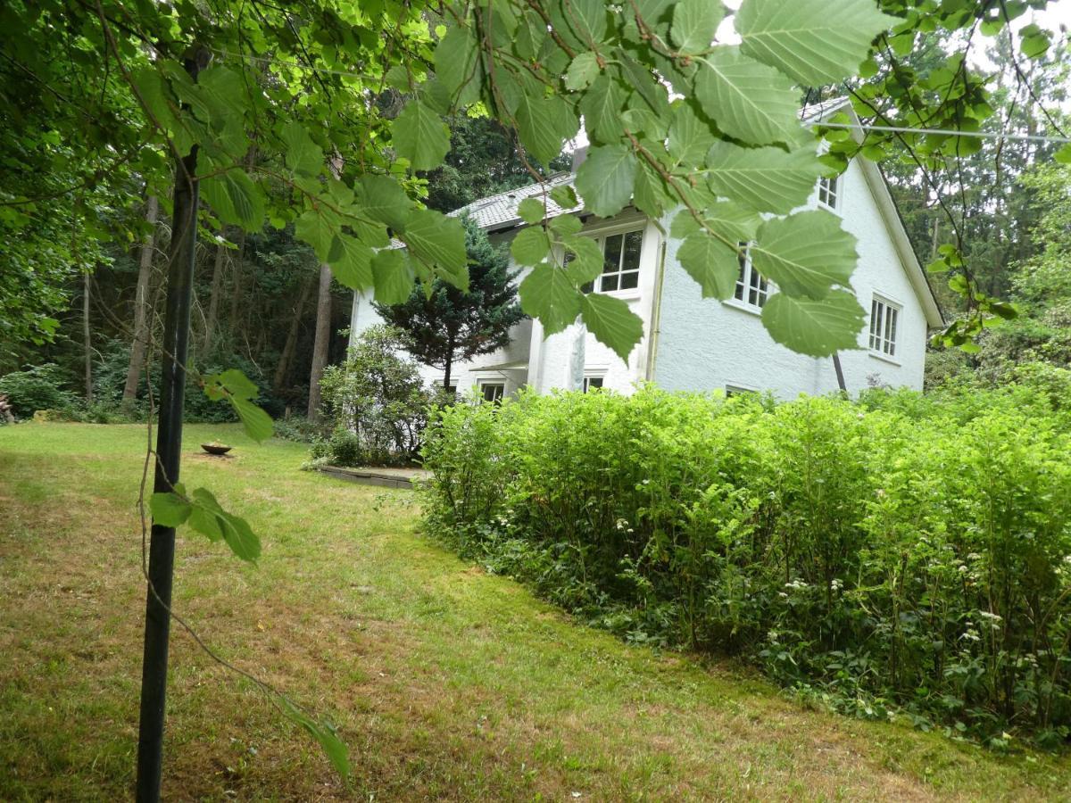 Ferienwohnung Niemann In Lutterloh Unterluss Exterior photo